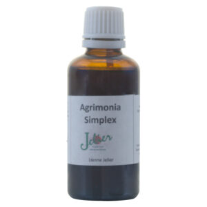 Agrimonia Simplex