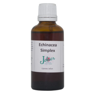 Echinacea Simplex