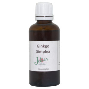 Ginkgo Simplex