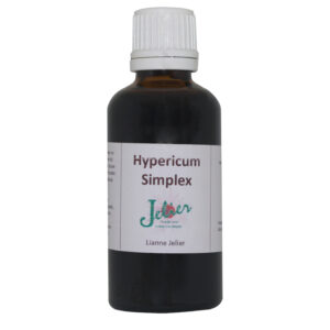 Hypericum Simplex