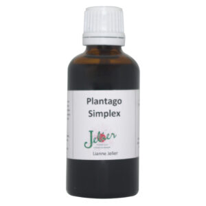 Plantago Simplex