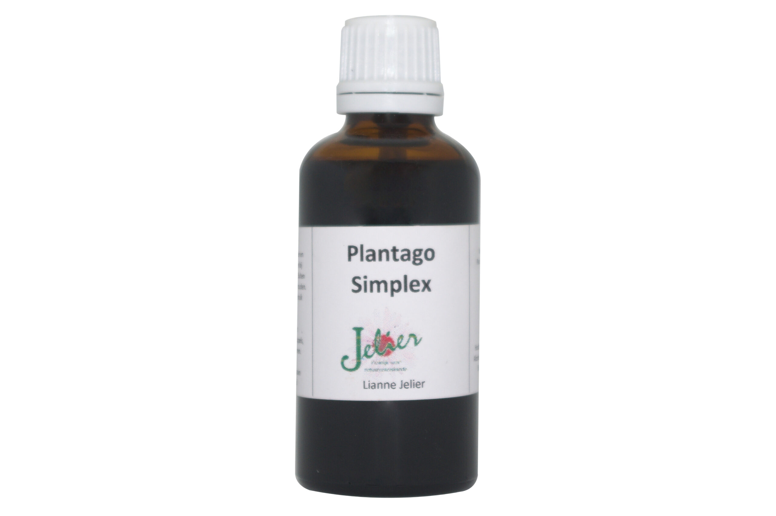 Plantago Simplex