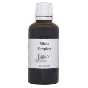 Ribes Simplex