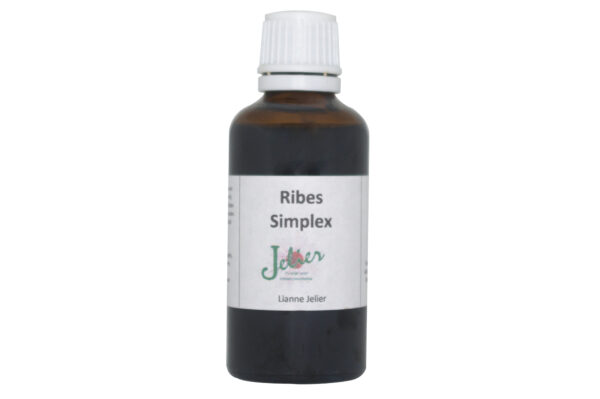 Ribes Simplex