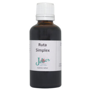 Ruta Simplex