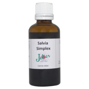 Salvia Simplex