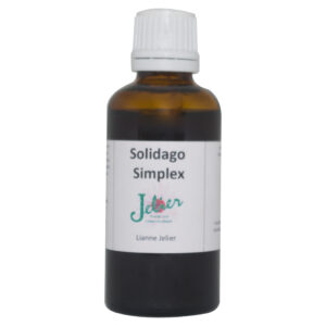 Solidago Simplex
