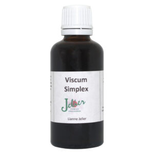 Viscum Simplex