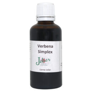 Verbena Simplex